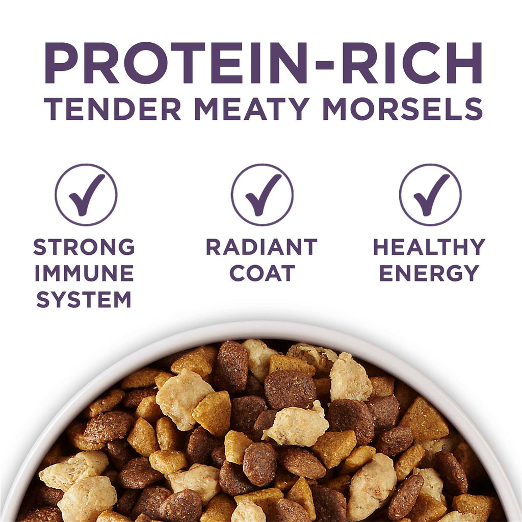 Adult Dry Dog Food Senior X857767