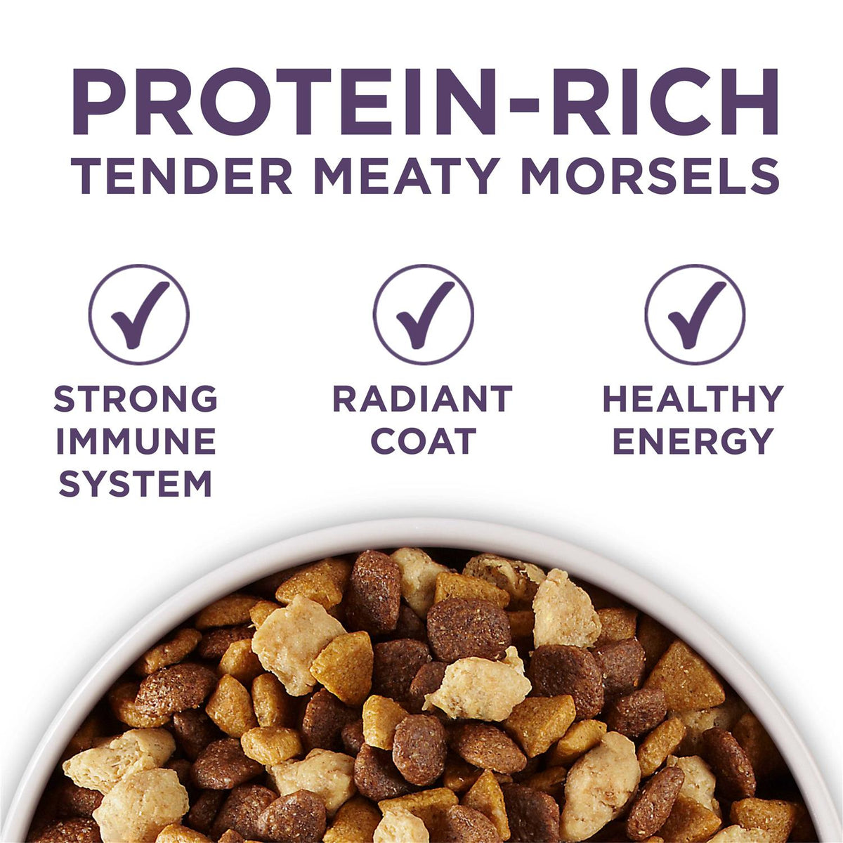 Adult Dry Dog Food Senior X857767