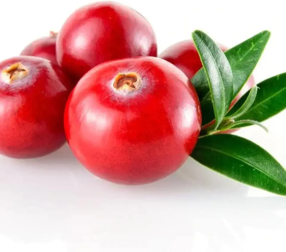 Cranberry Enzyme Water Soluble 4oz Pouch R2562