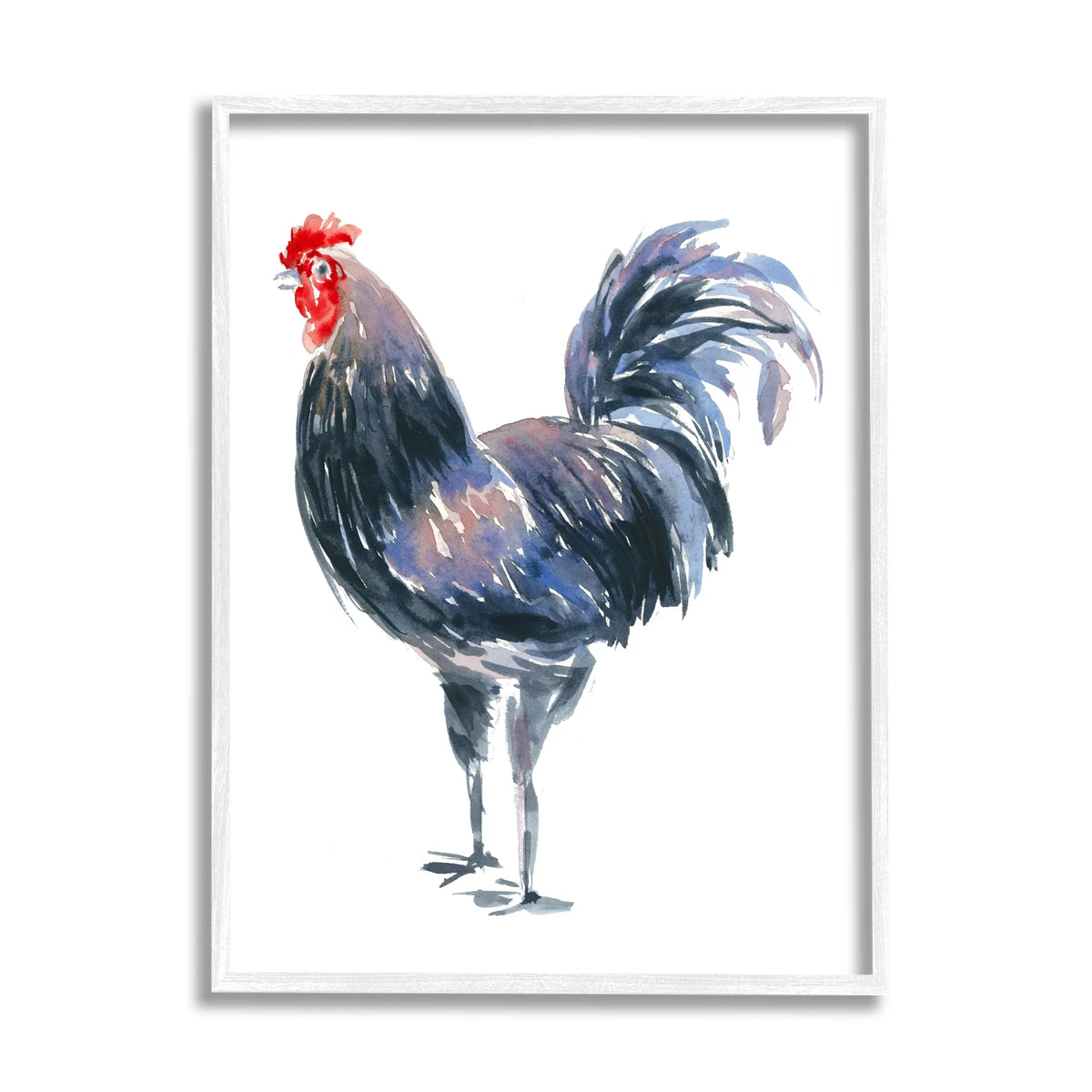 Rooster Portrait on White Framed Art Print Wall Art, 16 x 20 C842