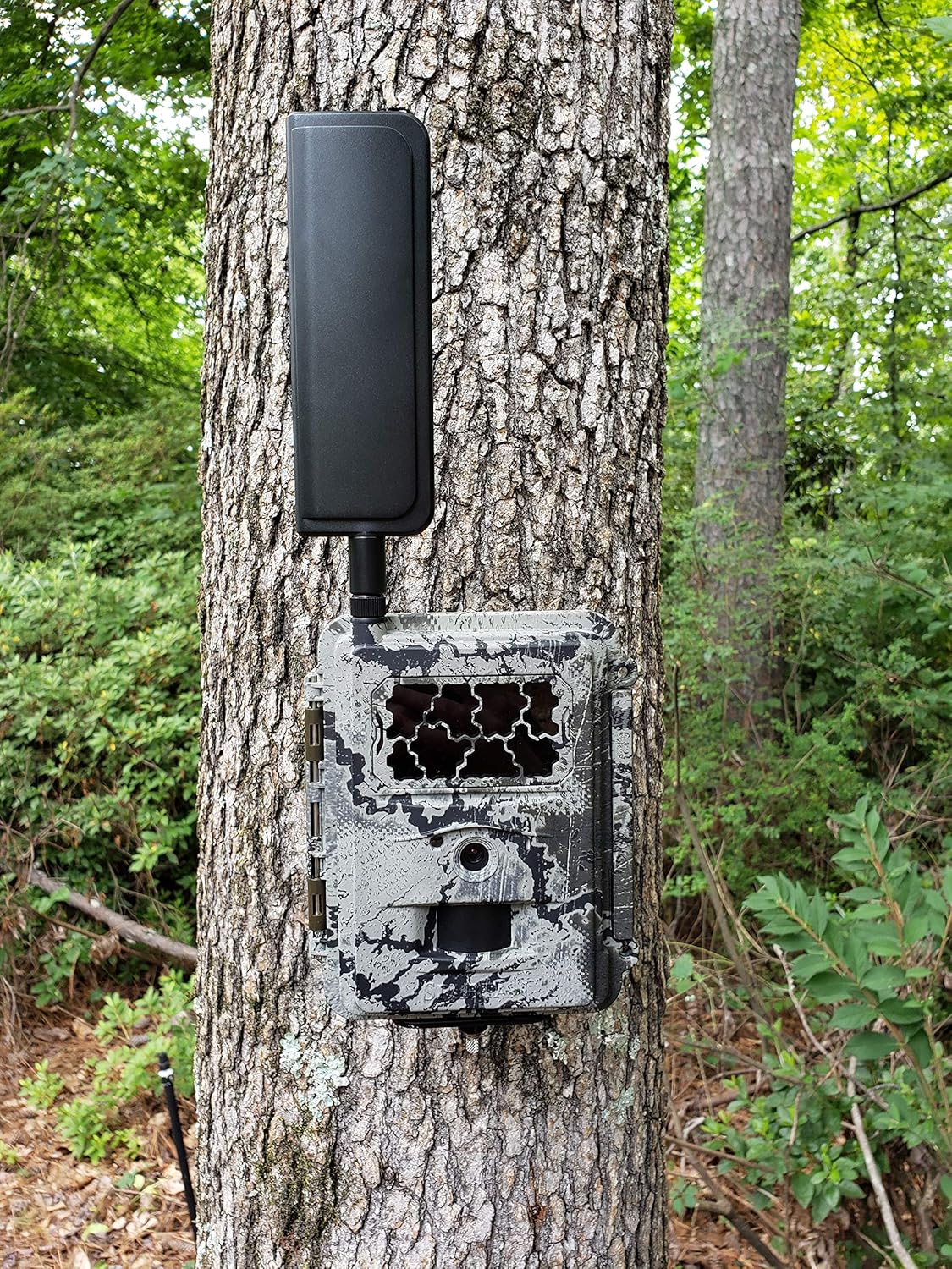 Verizon 4G LTE Wireless Trail Camera with Batteries, SD Card, Card Reader, and Mount I5788