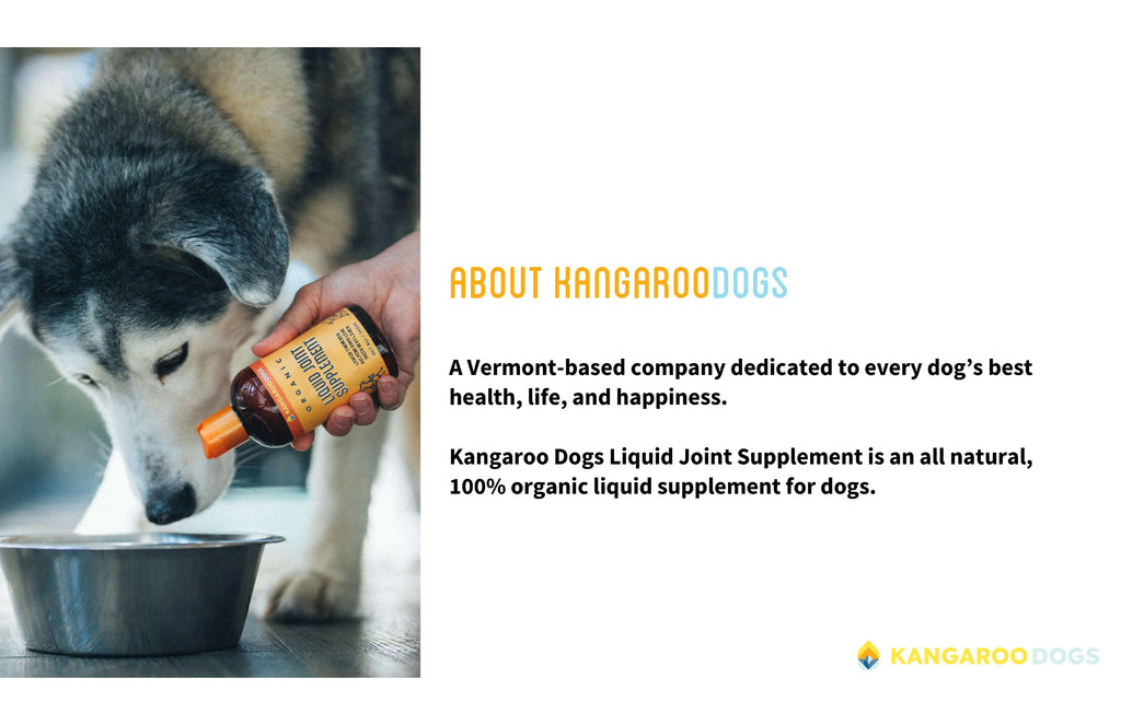 Organic Turmeric Curcumin Dog Joint Supplement Liquid 8 oz D1404