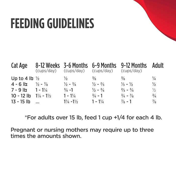 Kitten Dry Food V747