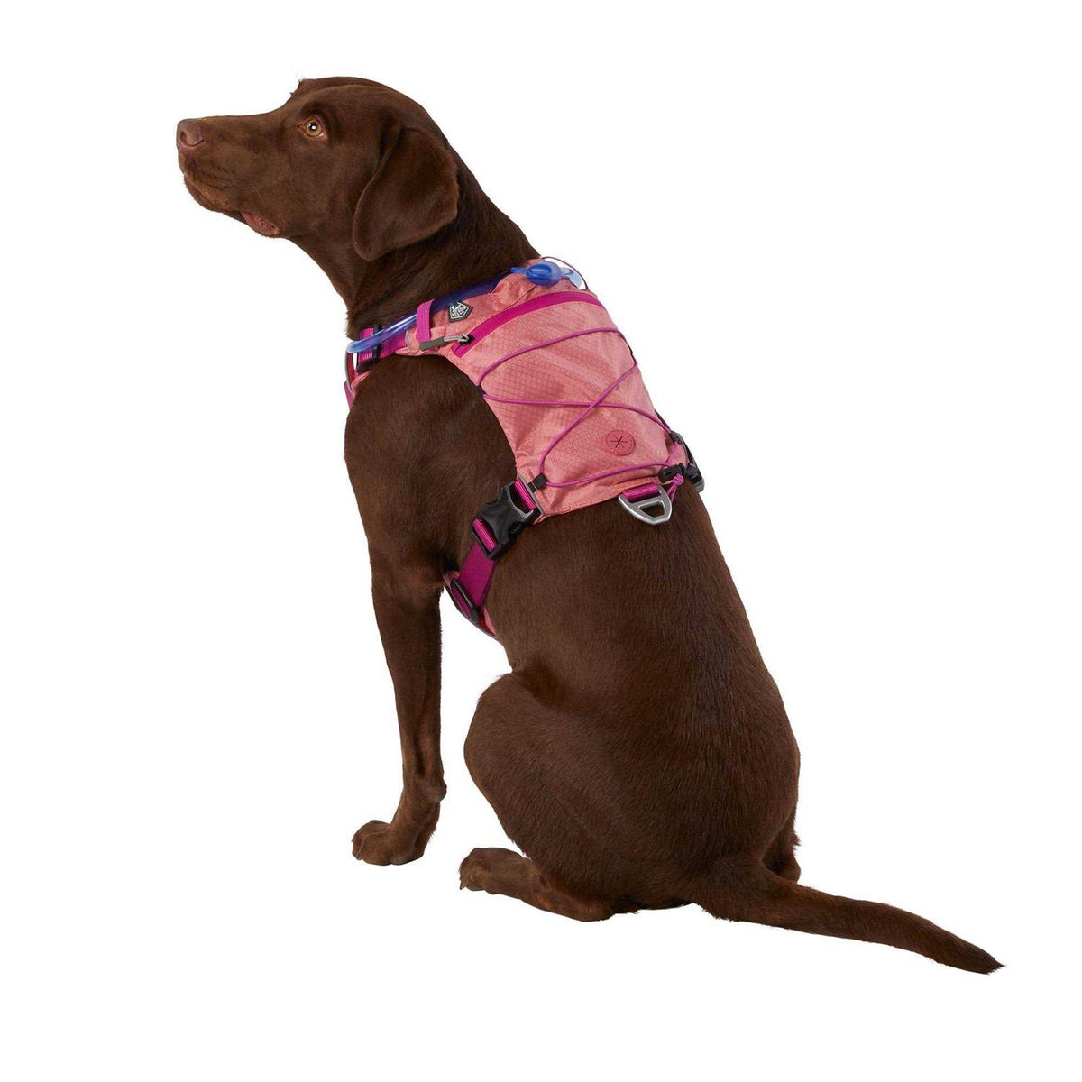 Dog Harness E10372