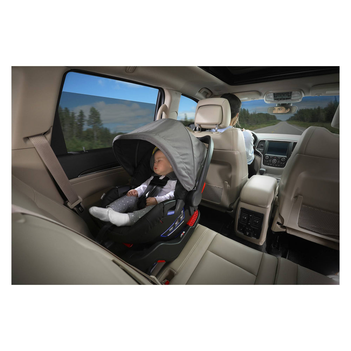 Cardinal Infant Car Seat O879