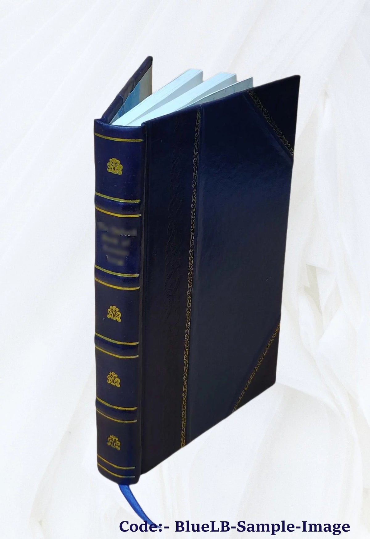 Furniture Leather Bound Z367
