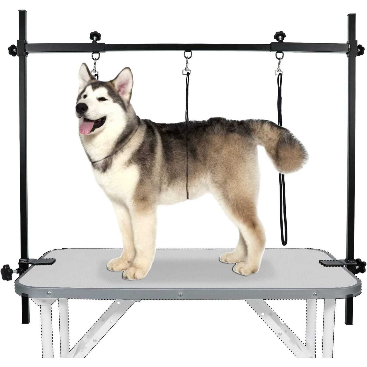 Dog Grooming Table Arm with 3 Noose and Clamp H89647
