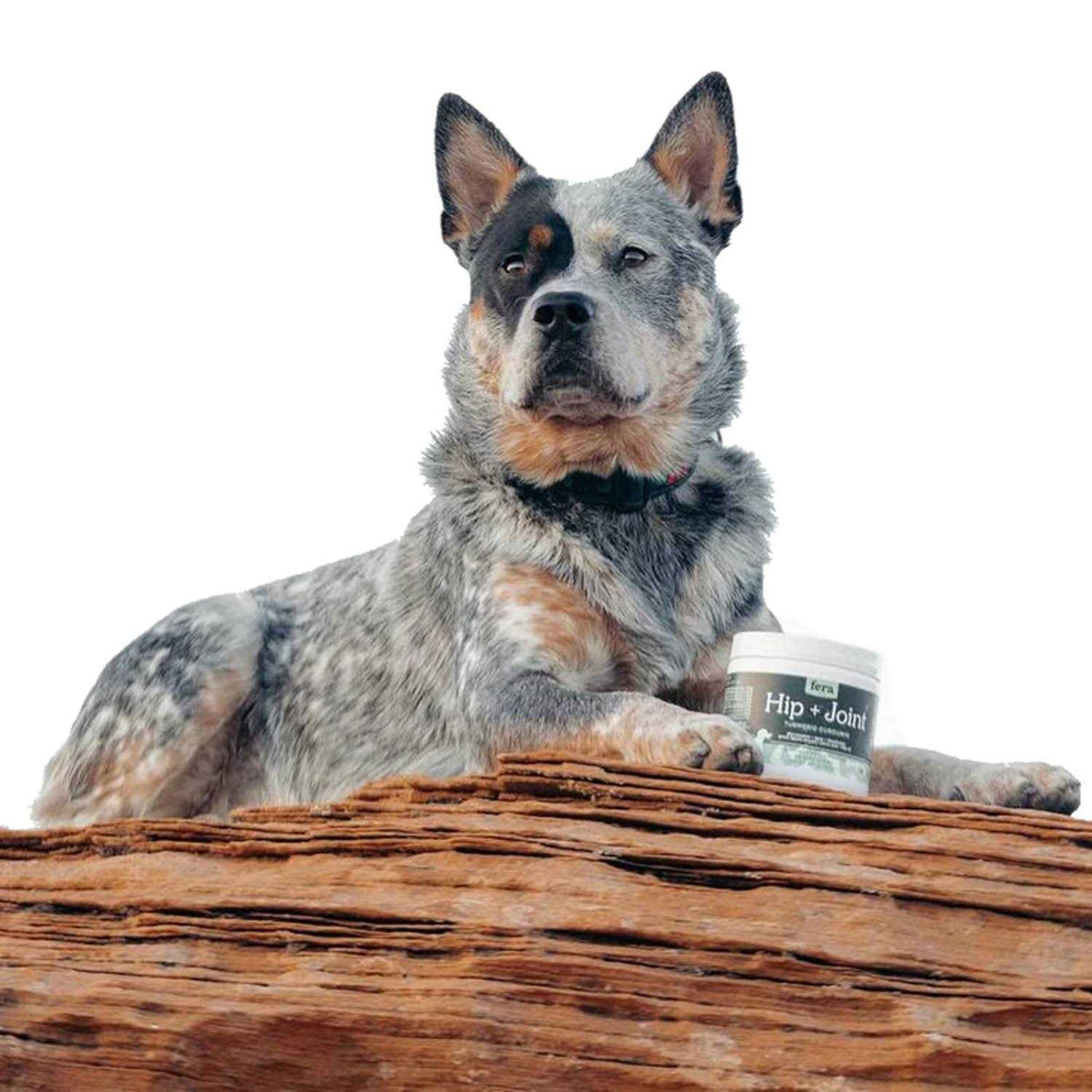 Hip & Joint Soft Chew Dog Supplement F7438