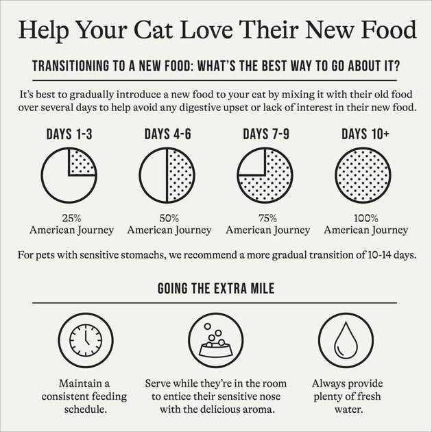 Salmon Grain-Free Dry Cat Food S5938