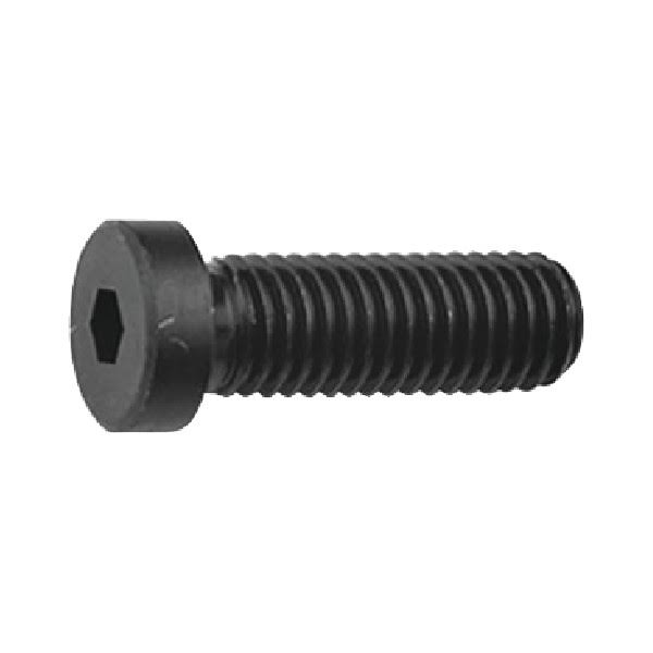 M4 x 16mm Low Head Cap F7803