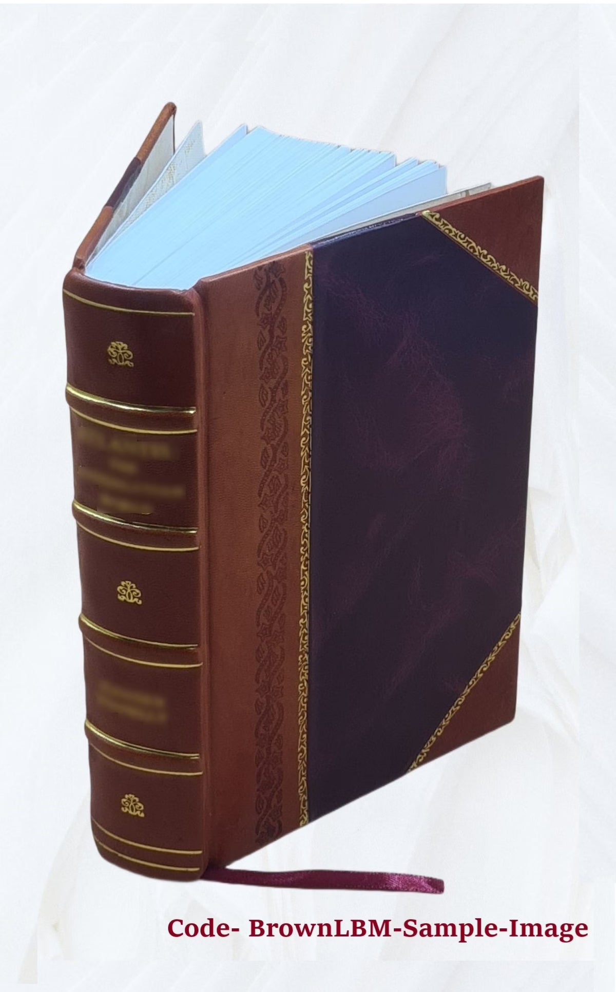 Le ceremonial de France Q80376