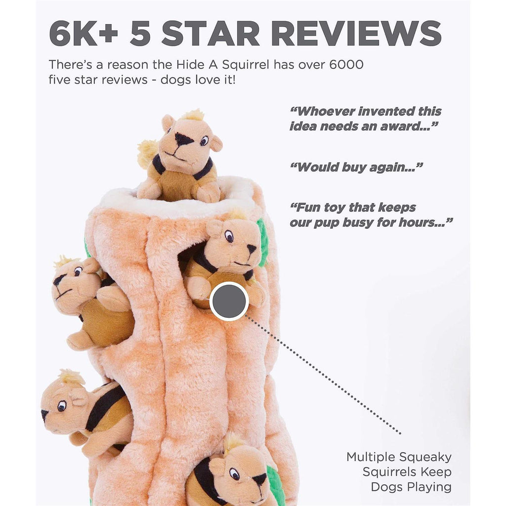 Hide A Squirrel Dog Toy N59718
