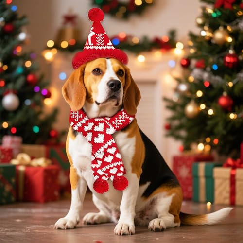 Christmas Antler Pet Red Scarf S810163