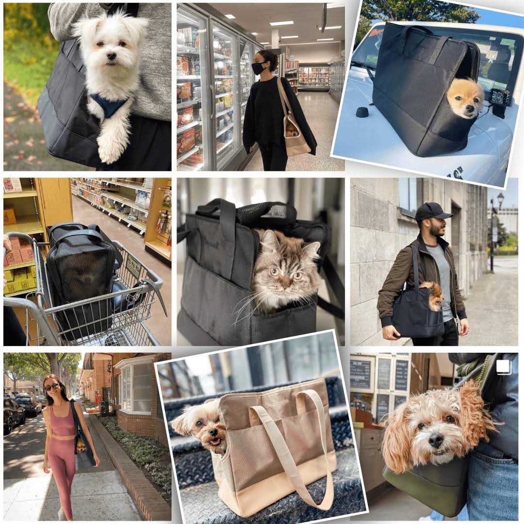 Pet Tote Bag for Small Dogs and Cats R2414