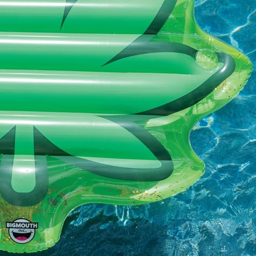 Large Vinyl Pool Float T543124