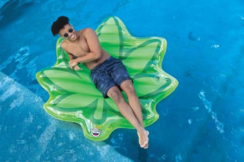 Large Vinyl Pool Float T543124