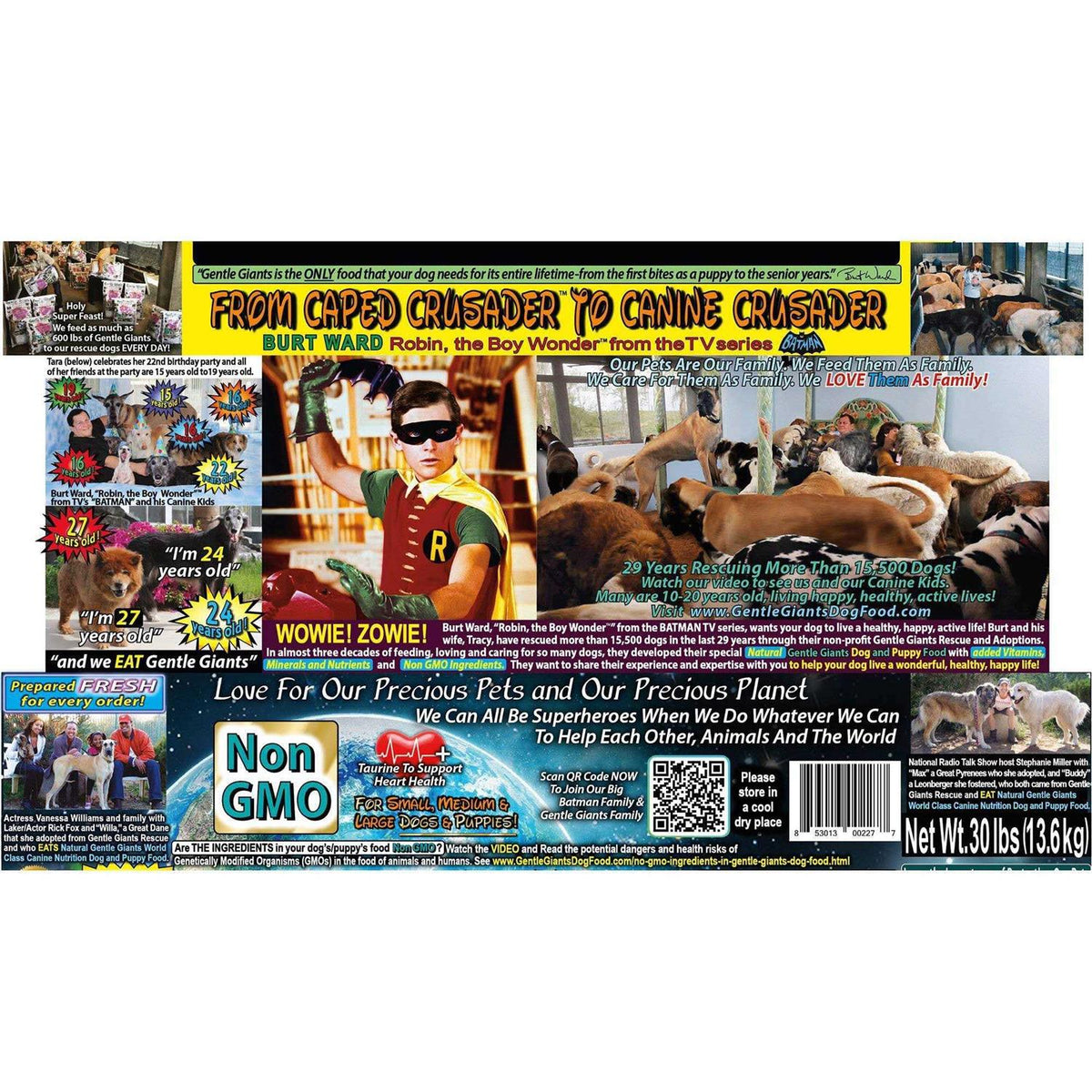 Chicken Dry Dog Food Y96907