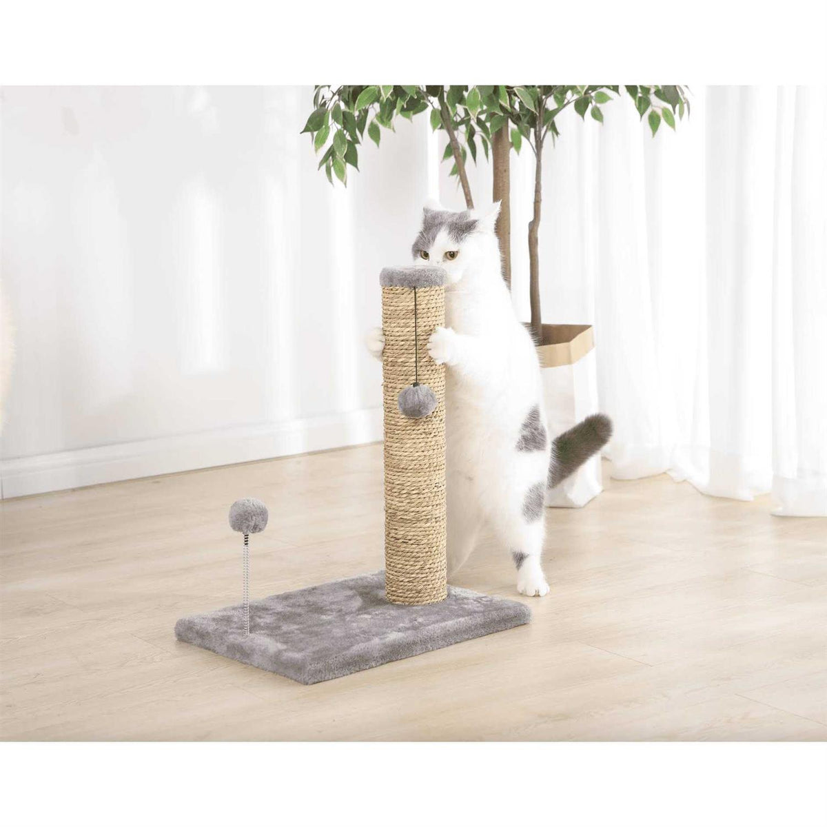 Small Seagrass Scratch and Play Post I9009