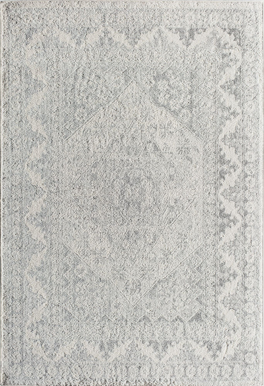 Grey Mist Vintage Transitional Area Rug R58651