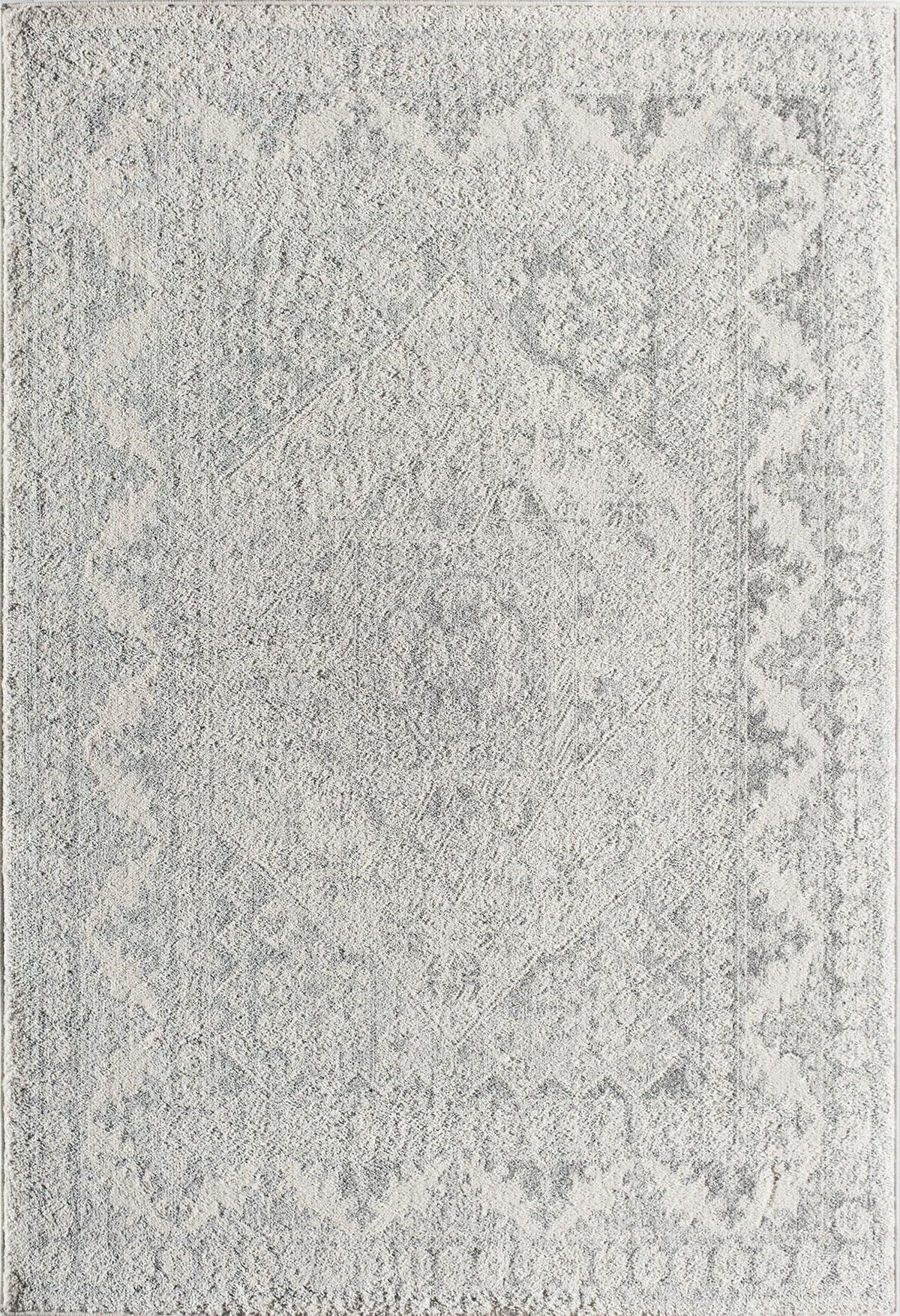 Grey Mist Vintage Transitional Area Rug R58651