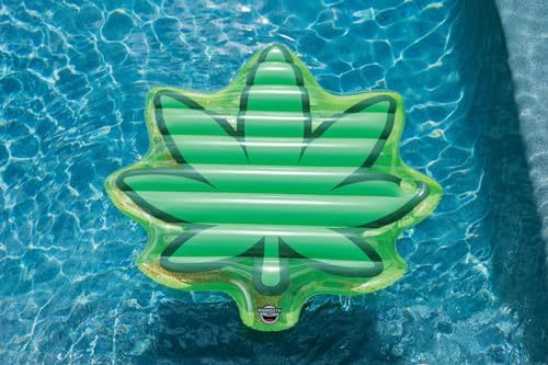 Large Vinyl Pool Float T543124