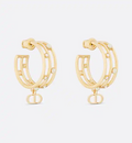 Earrings F21830