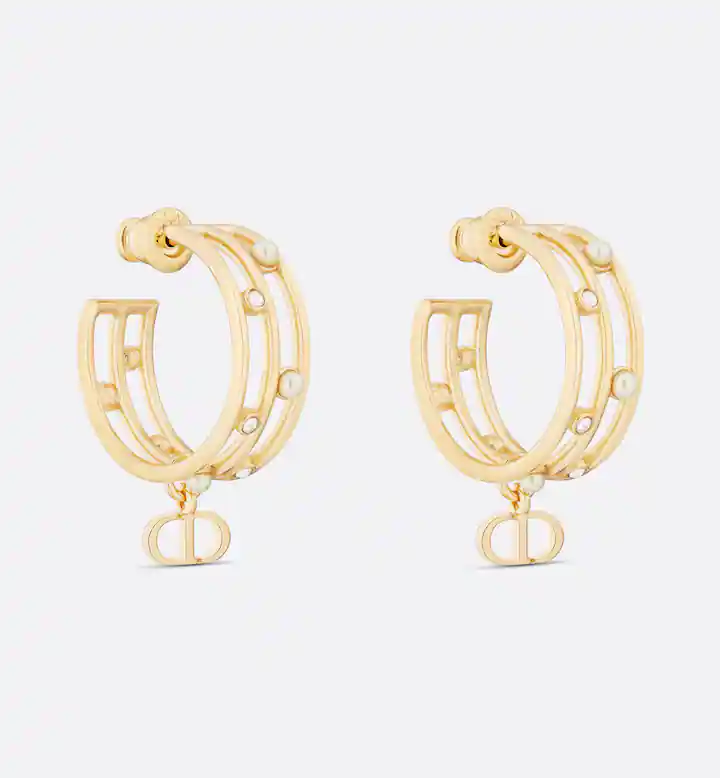 Earrings F21830