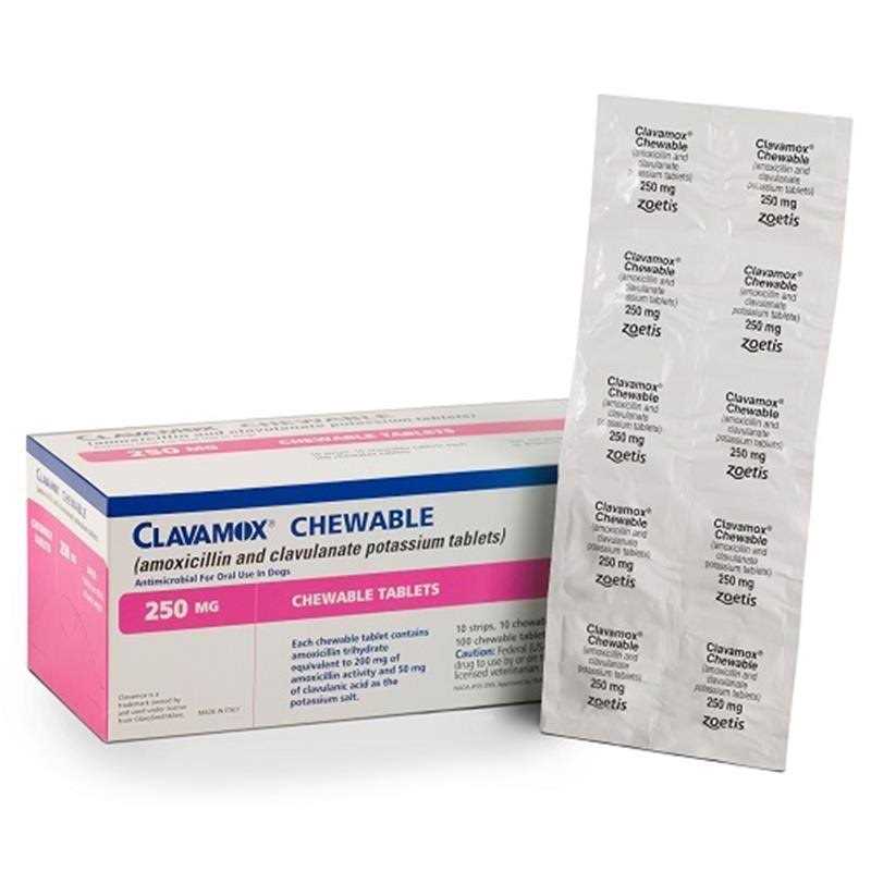 Chewable S284947