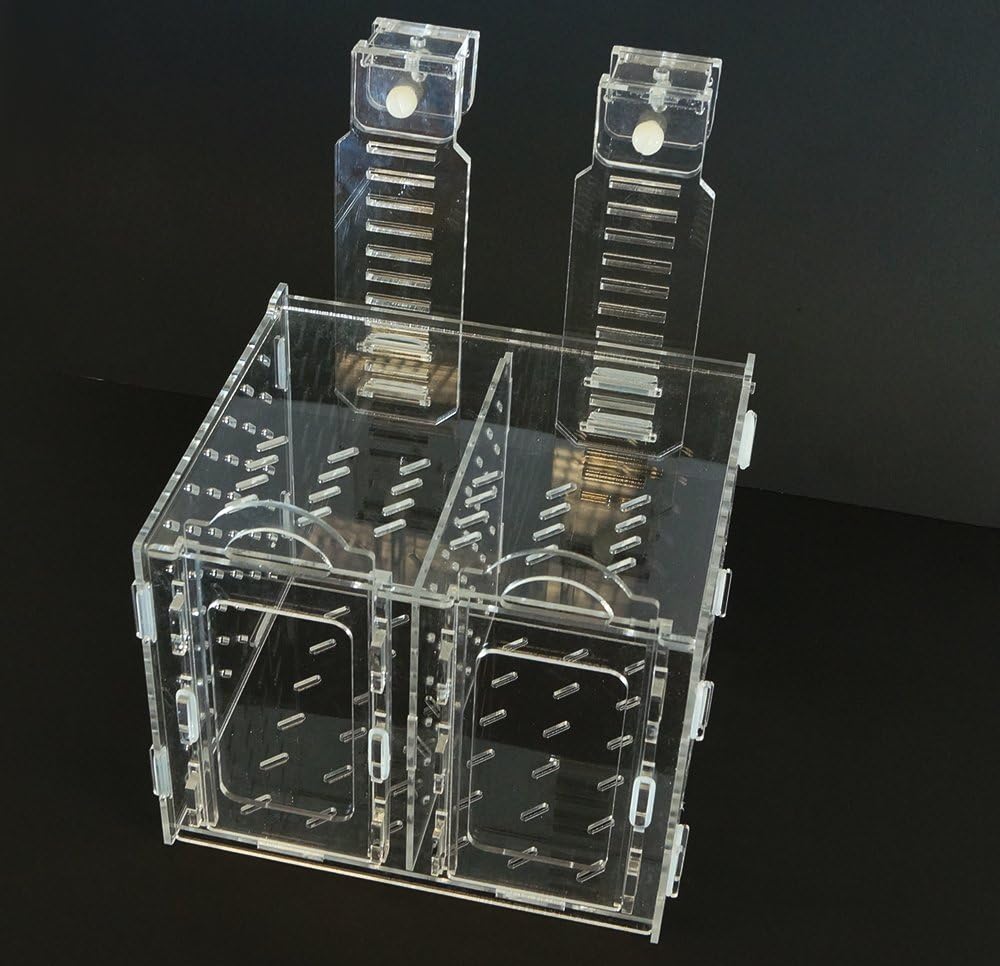Collapsible Acclimation Box H557483