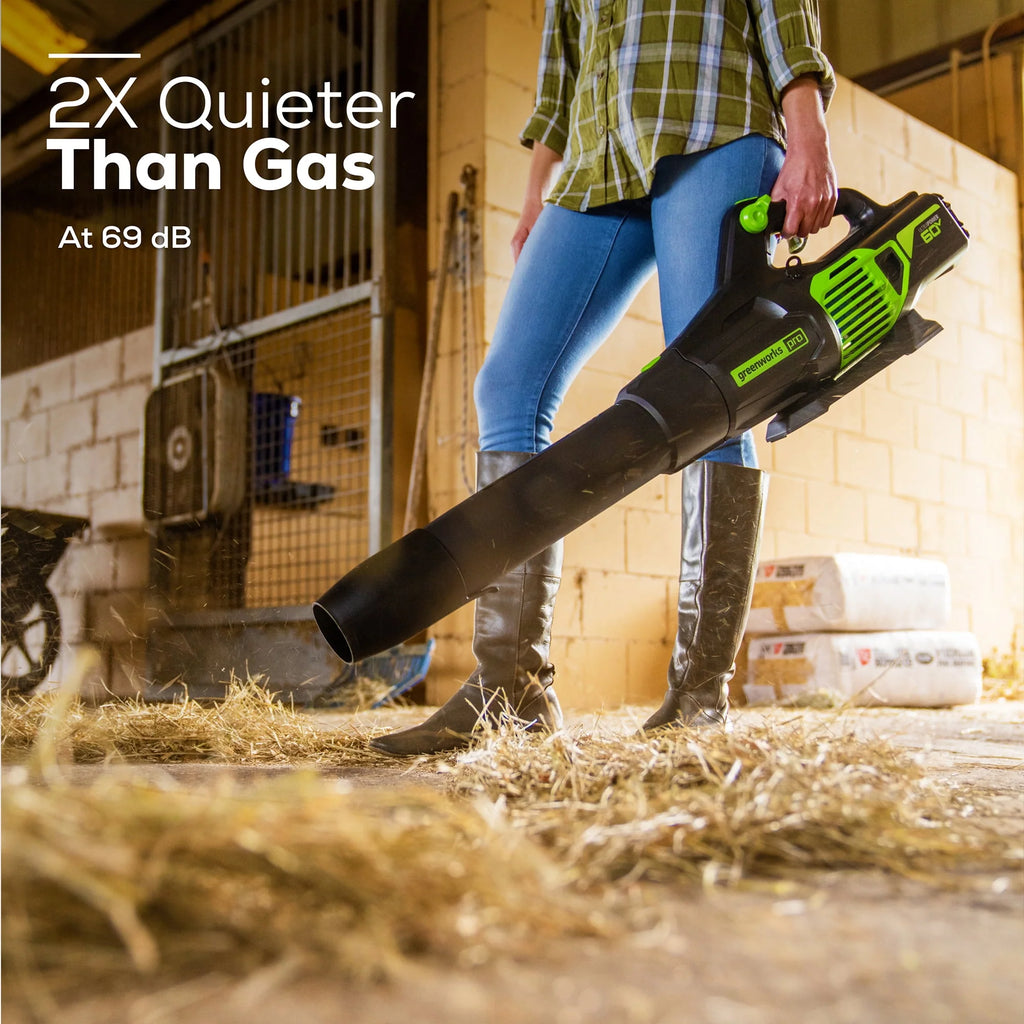 60V 610 CFM Cordless Brushless Leaf Blower with 2.5Ah Battery & Charger W524