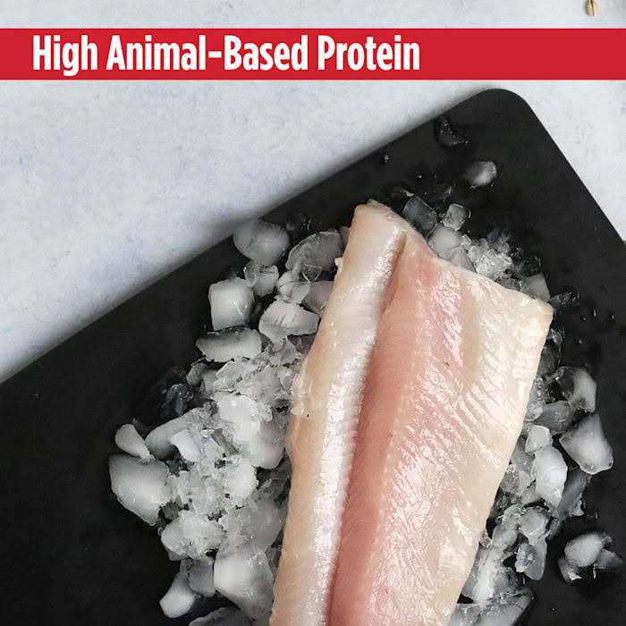Grain Free Trout & Duck Dry Cat Food H472