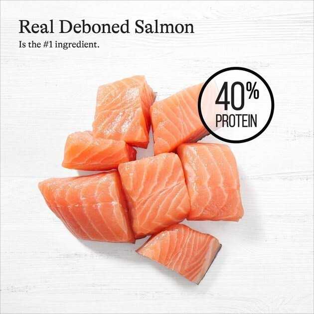 Salmon Grain-Free Dry Cat Food S5938