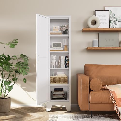 5 Tier Metal Storage Cabinet with 2 Barn Door U812