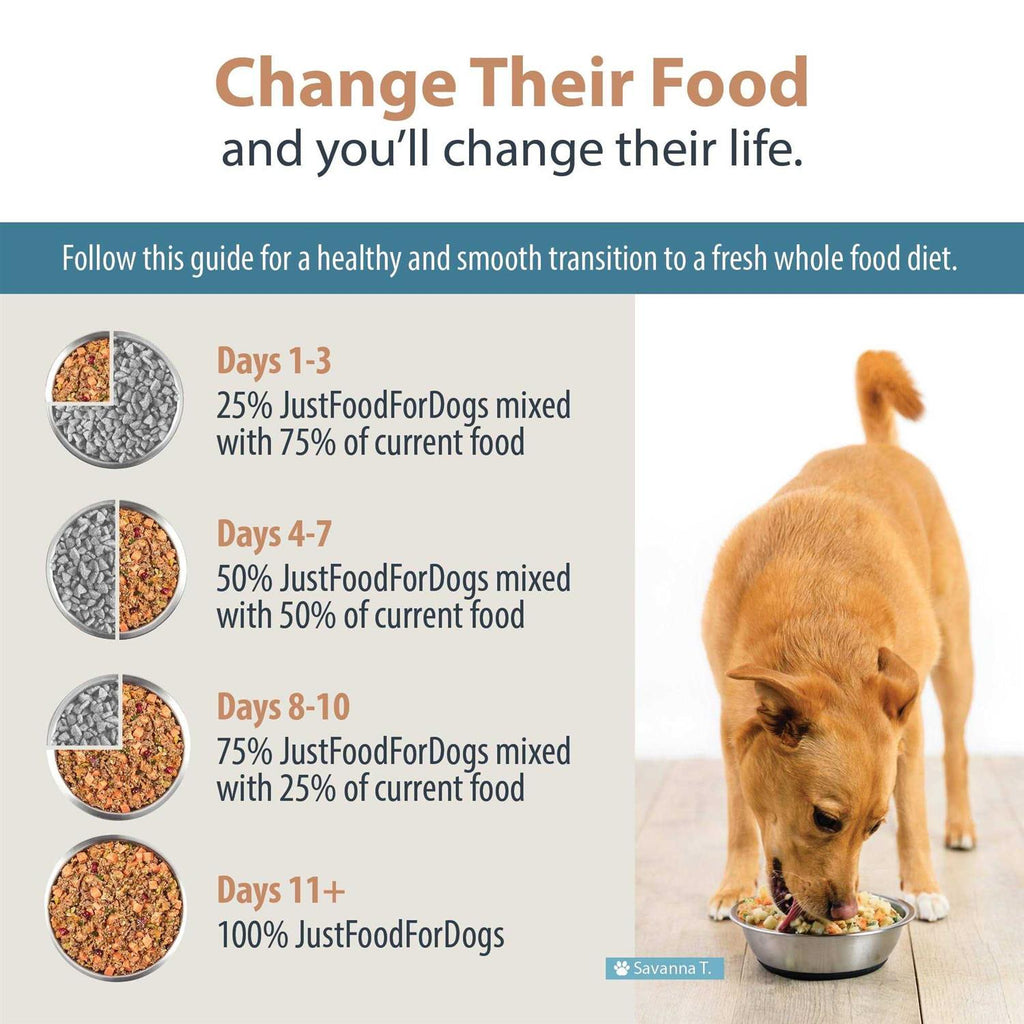 Frozen Fresh Dog Food F524654