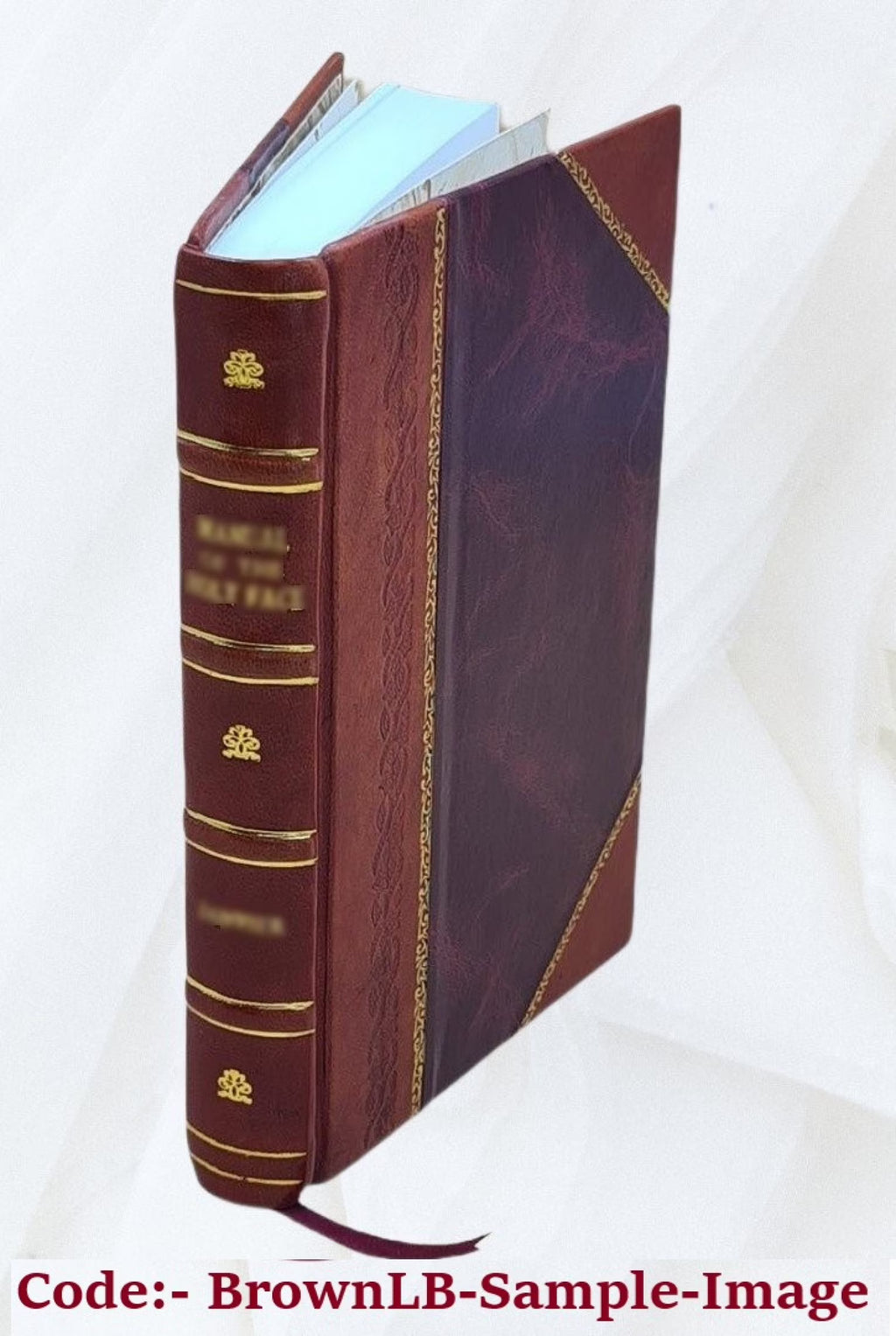 Leather Bound Book O5961