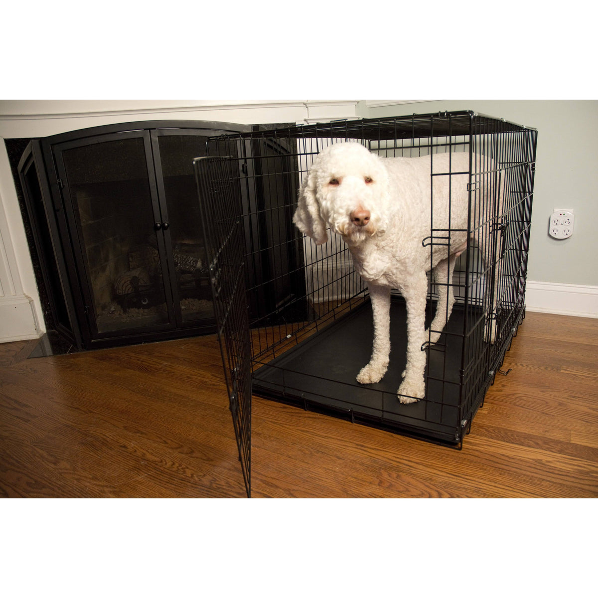 Foldable Double Door Pet Crate with Divider J9464