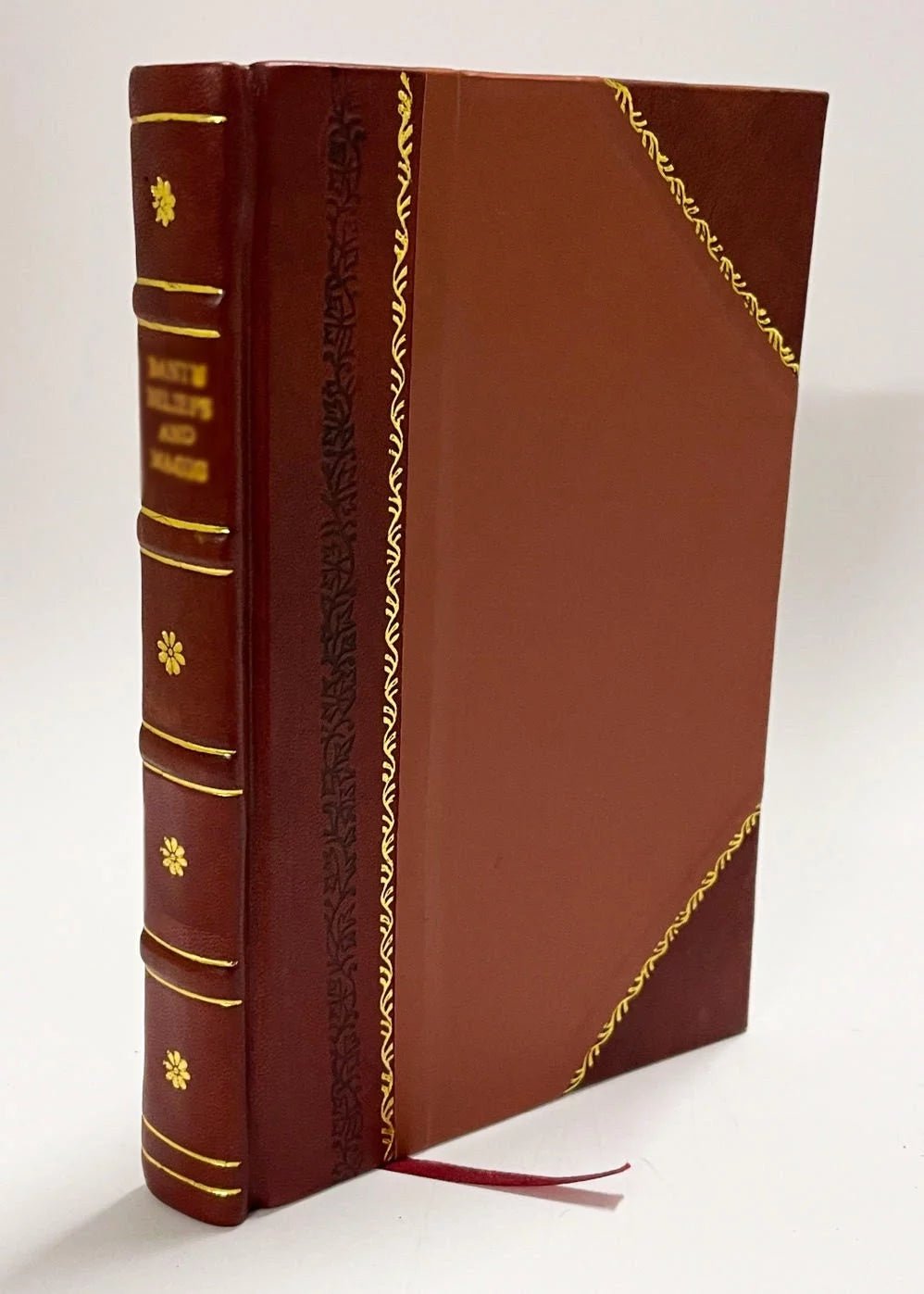 Mrs. Colonel Somerset in Caffraria Leather Bound F63838