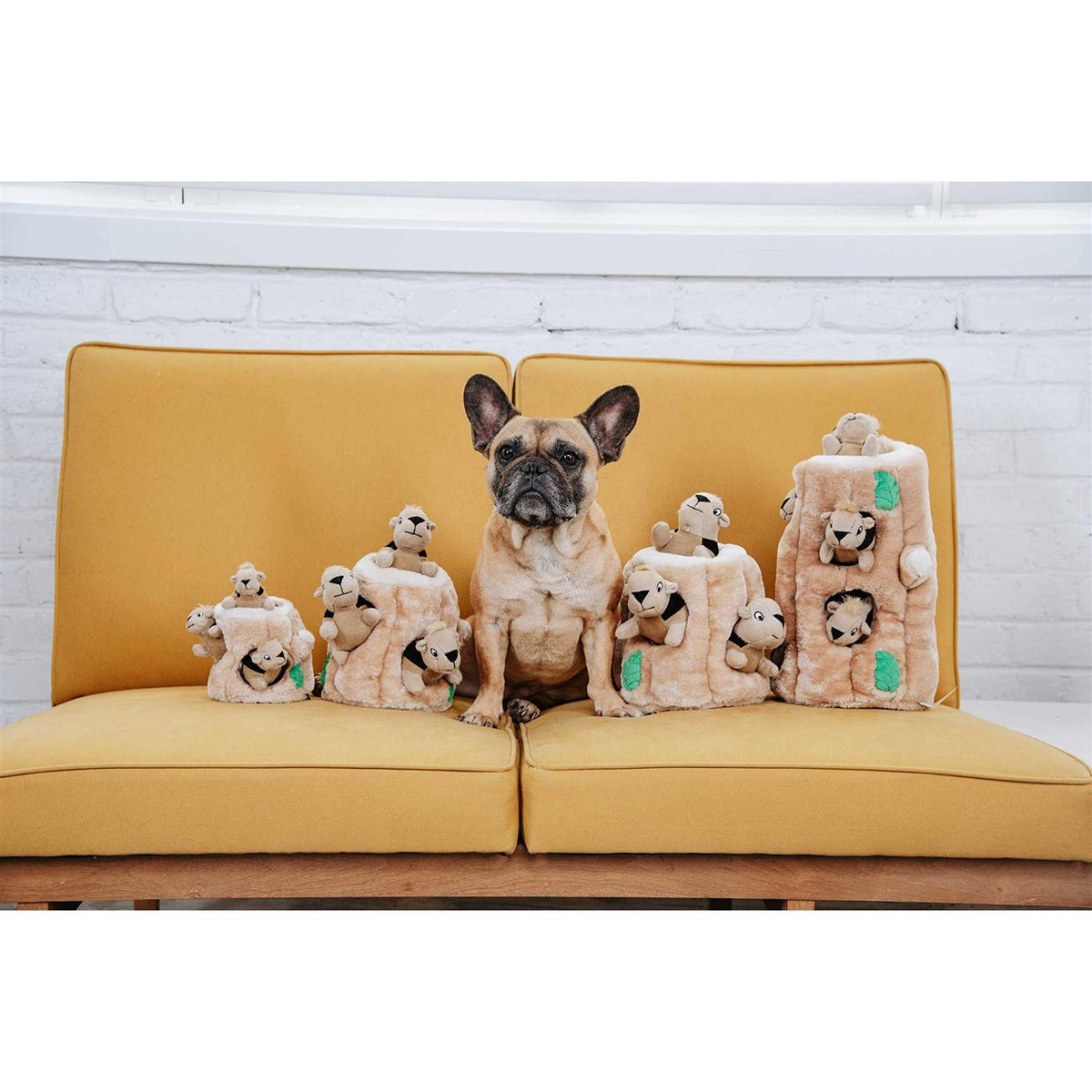 Hide A Squirrel Dog Toy N59718