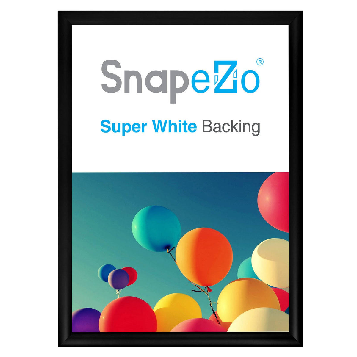 Black Snap Frame P303557