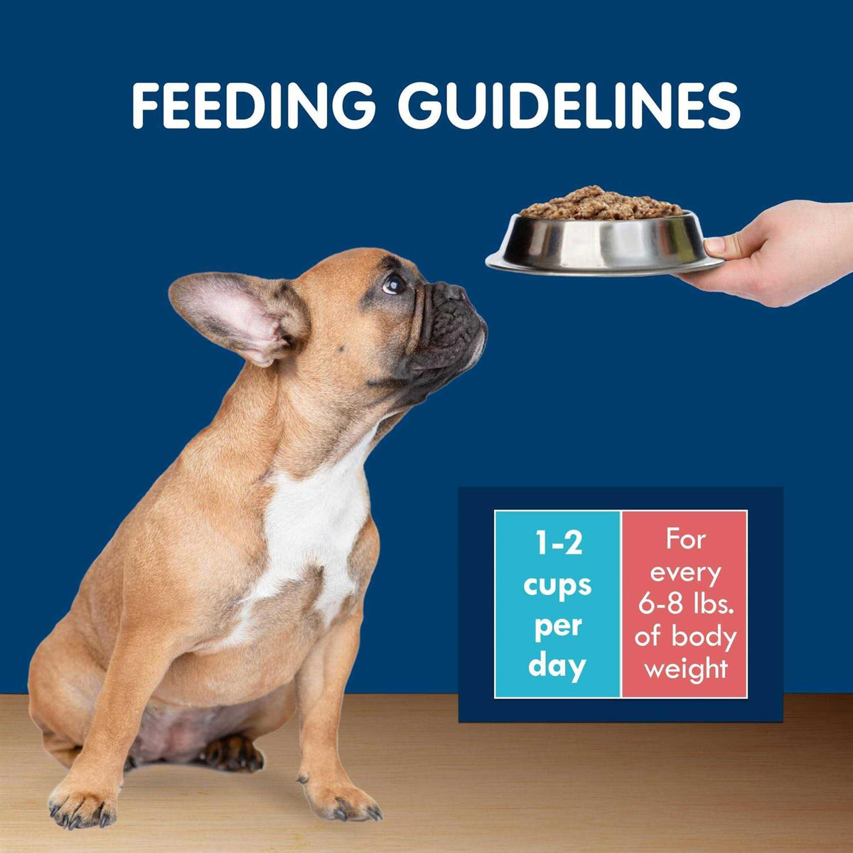 Grain-Free Chicken Wet Dog Food Variety Pack F620881