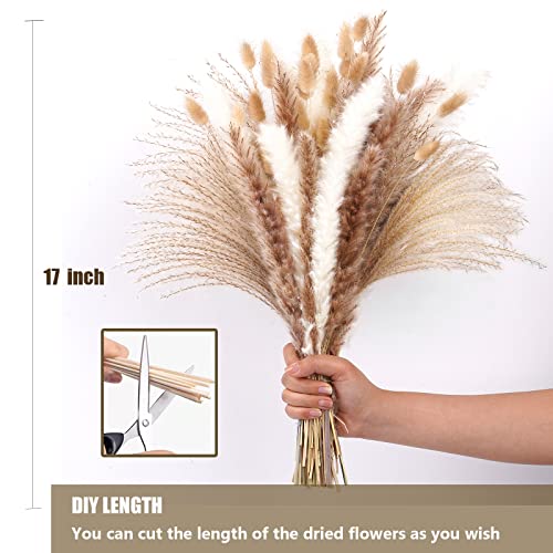100PCS Natural Dried Pampas Grass Bouquet B6984