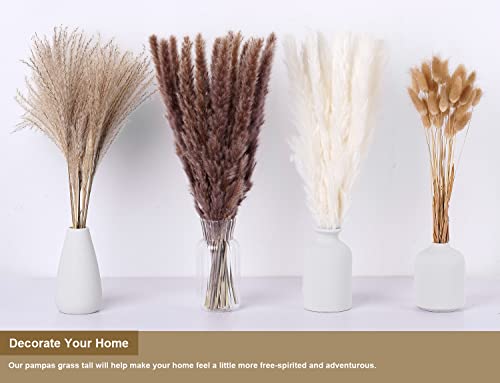 100PCS Natural Dried Pampas Grass Bouquet B6984