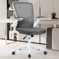 Black Ergonomic Mesh Office Chair with Lumbar Support X282