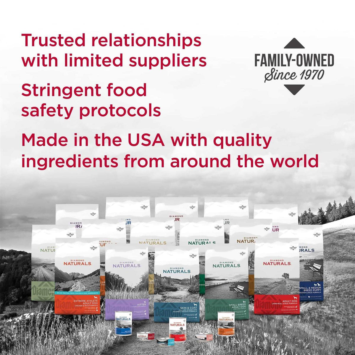 Senior Dry Dog Food Z991