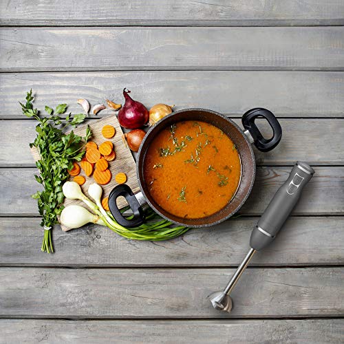 Turquoise 300 Watt Stainless Steel Immersion Hand Blender E868