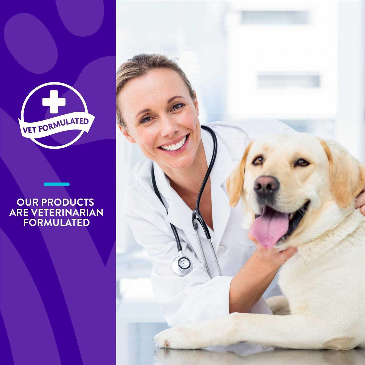Advanced Allergy Support Soft Chews Q684718