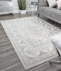 Grey Mist Vintage Transitional Area Rug R58651