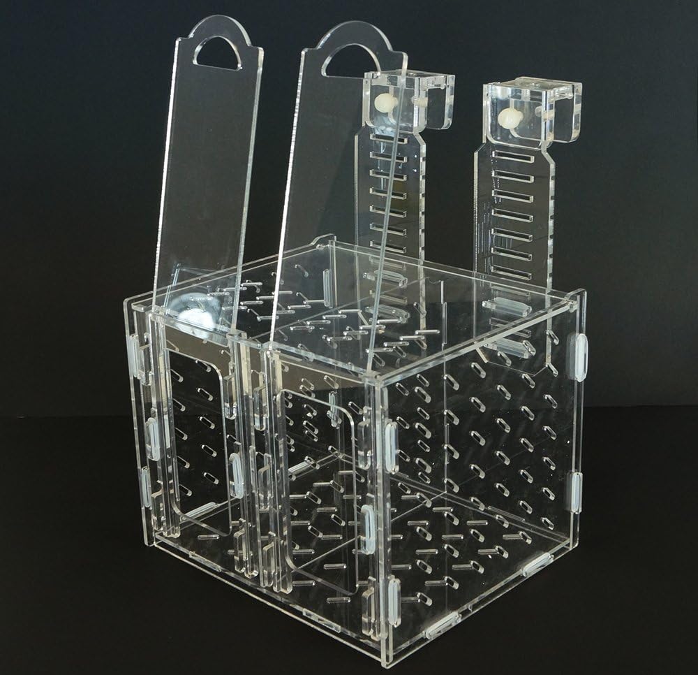 Collapsible Acclimation Box H557483