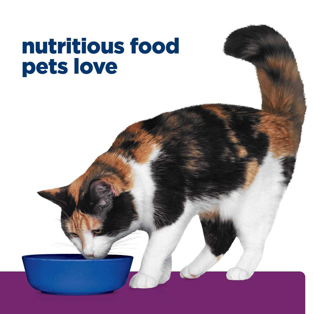 Canned Feline Food A682