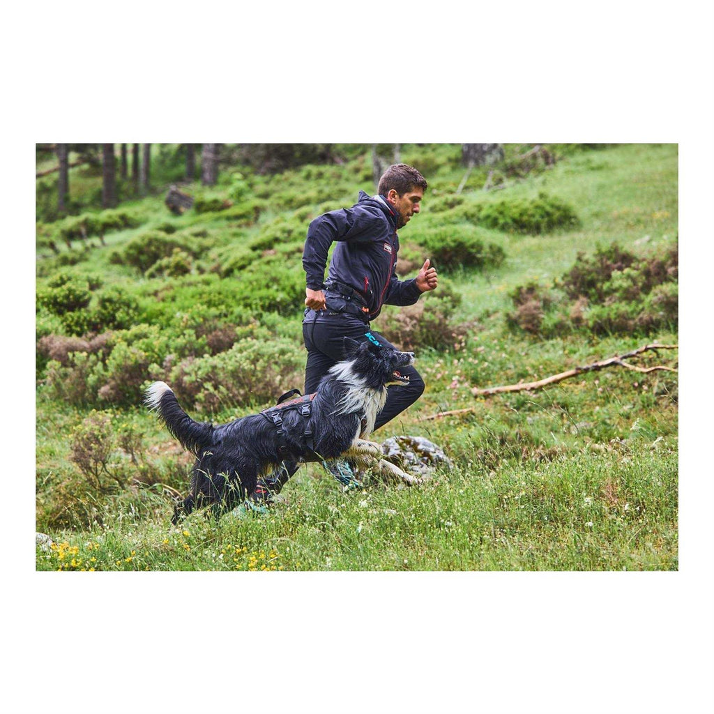 Rock harness long U21789